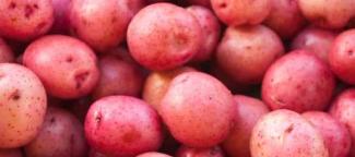 Potatoes - Red